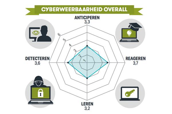 Cyberweerbaar DenHaag