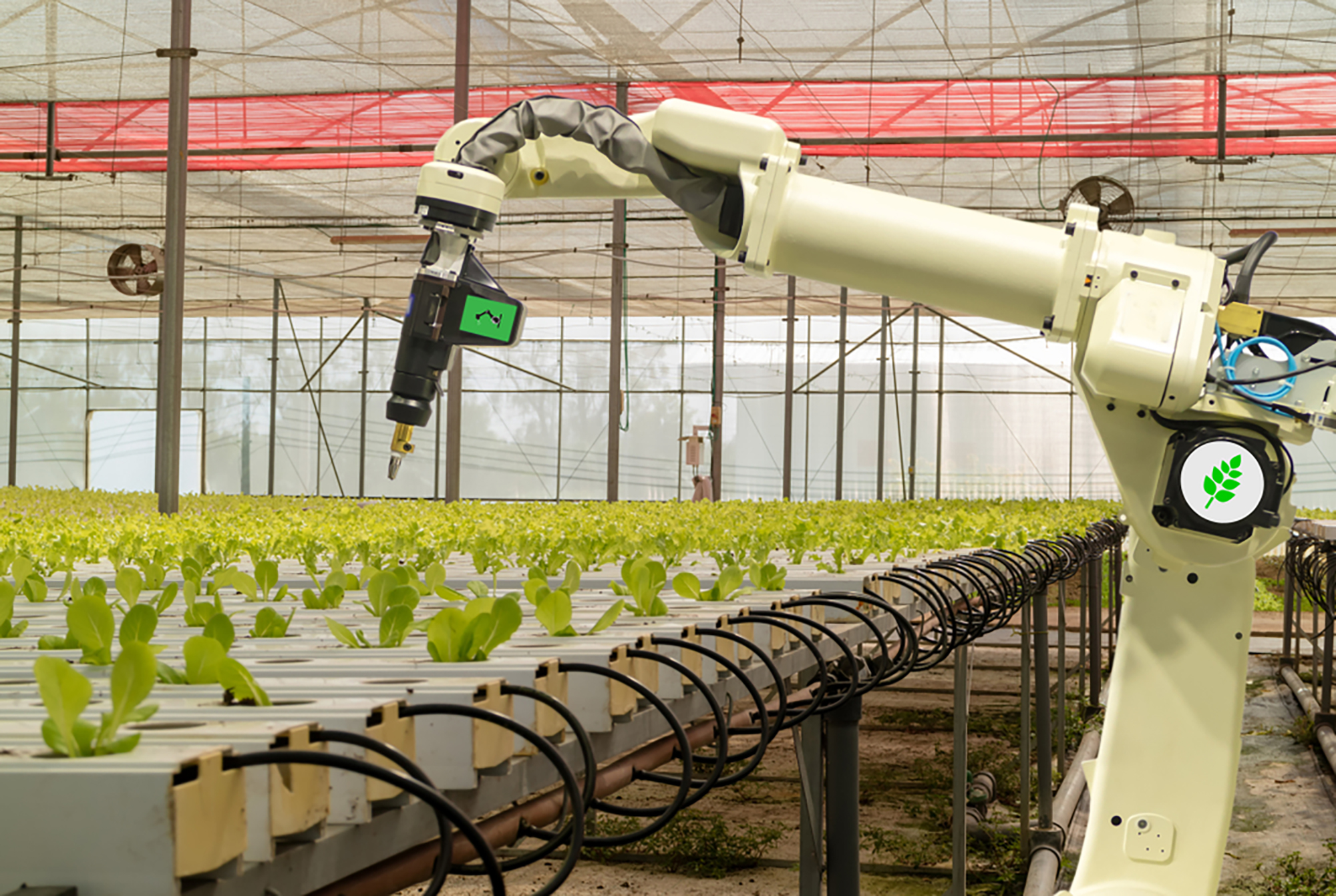 robotvoertuig in een tuinbouwkas