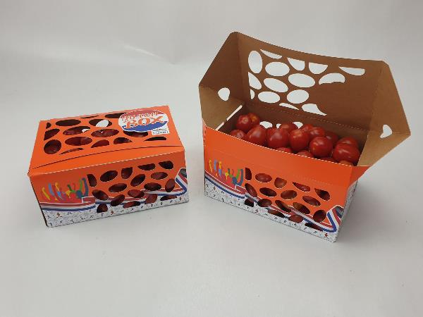 Twee gevulde verpakkingen met tomaten