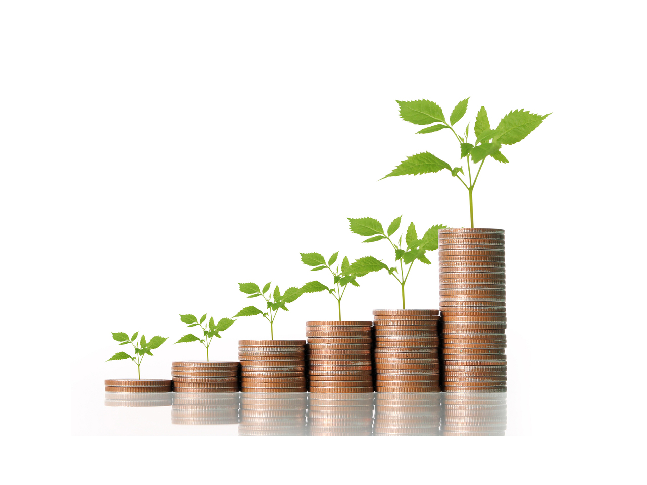 coins piled up with a plant at the top