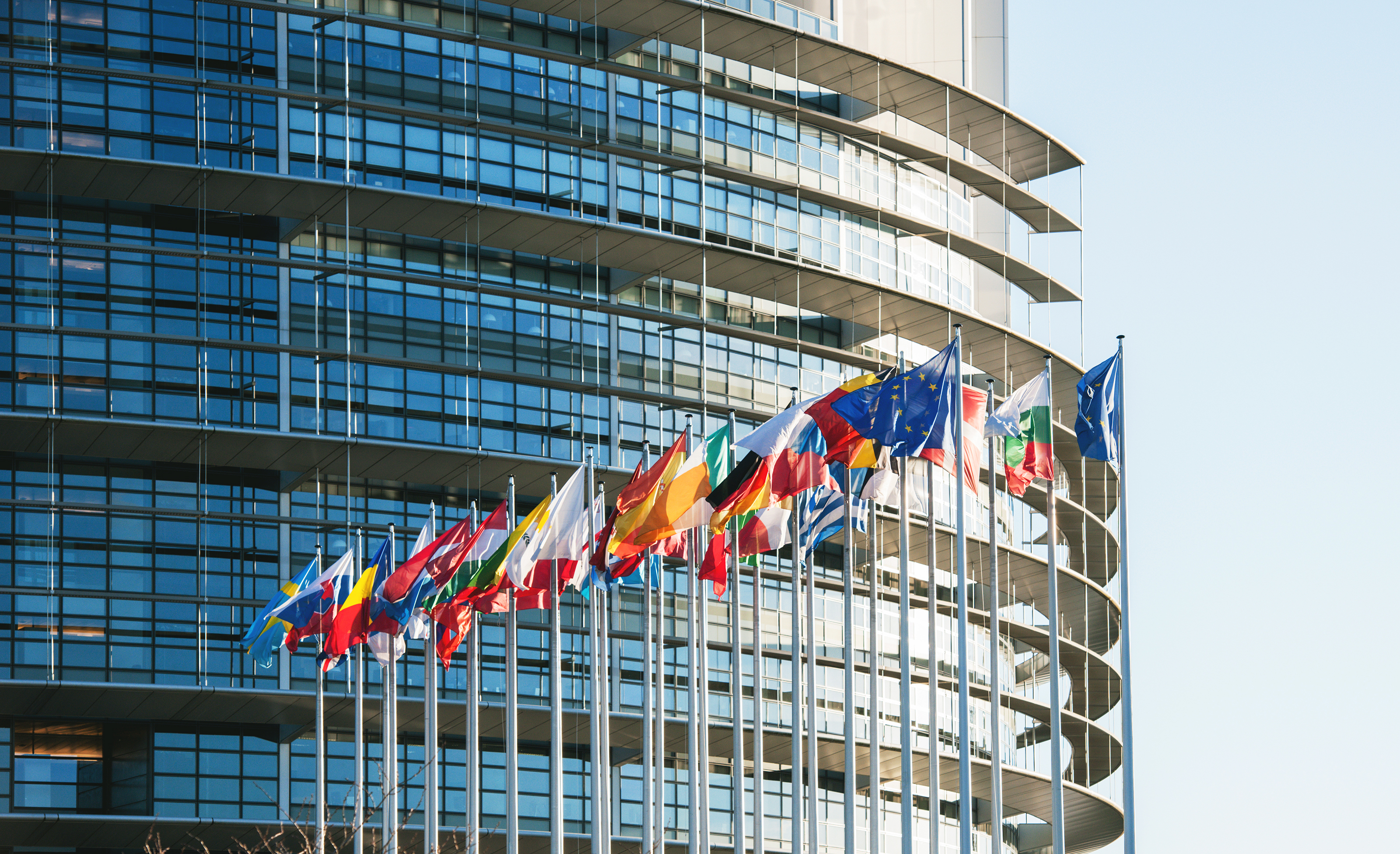 Global Governance, Europese vlaggen voor het Europees Parlement