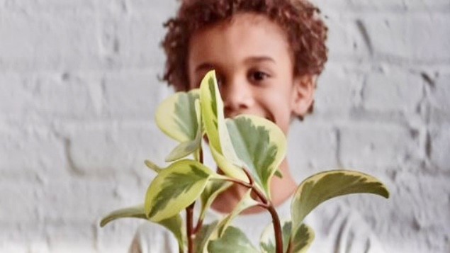 Een kind met een plant in beeld