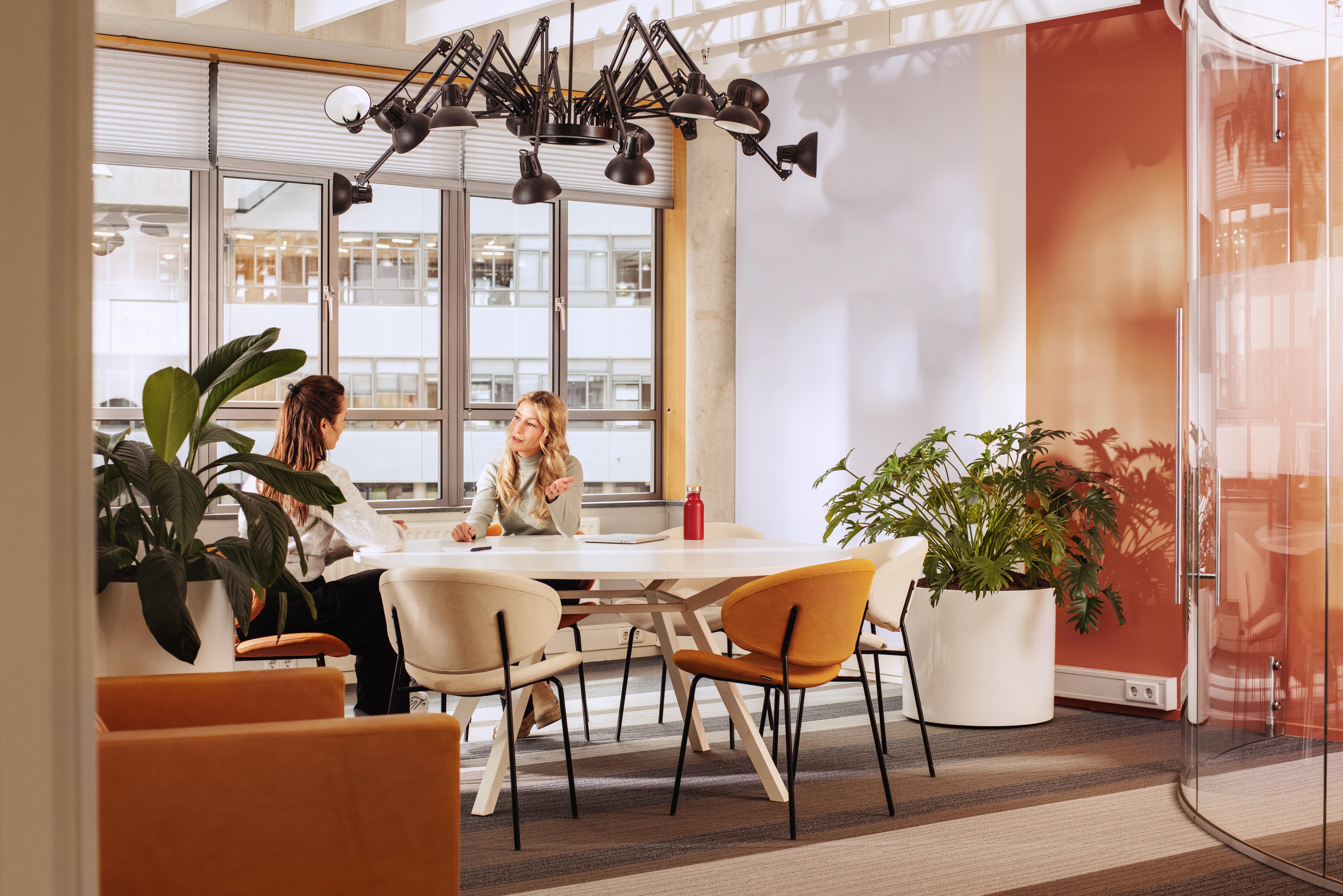 Organisatie, Advies & Ontwikkeling voor professionals