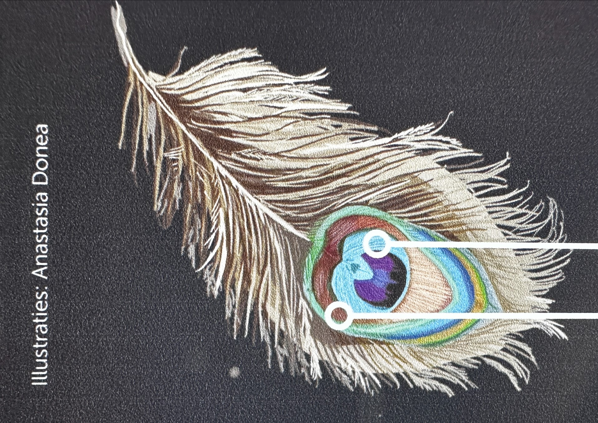 Biomimicry Expo