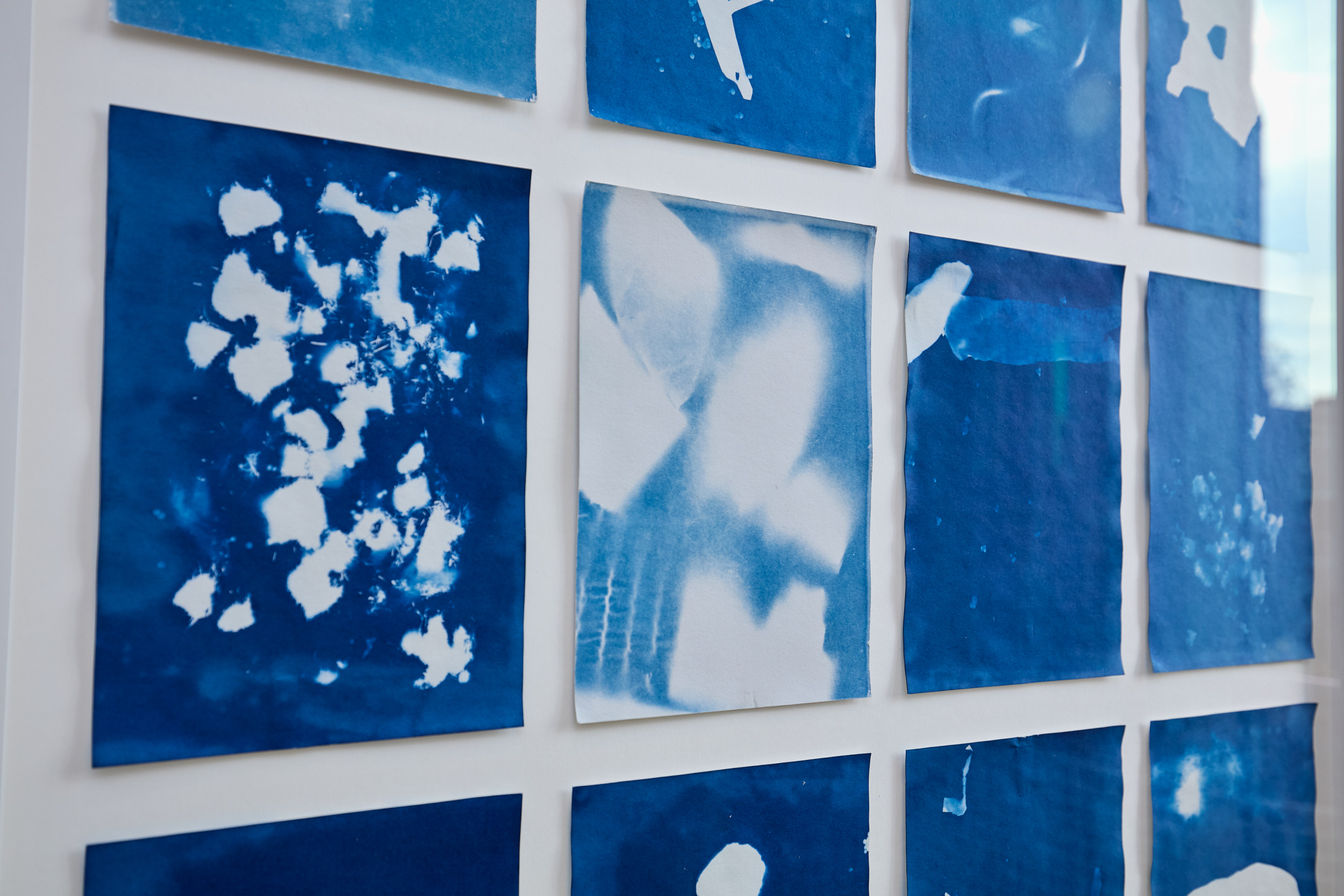 Cyanotype