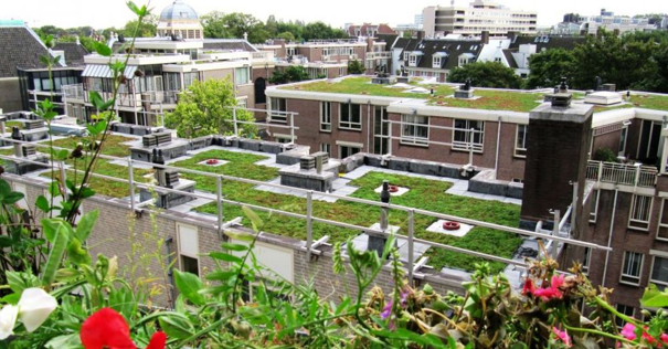 wijk in Den Haag